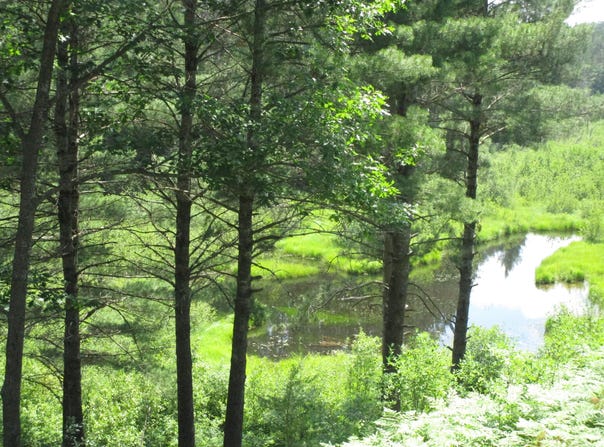 14796 E Shore Line Drive, Wolverine, MI 49799