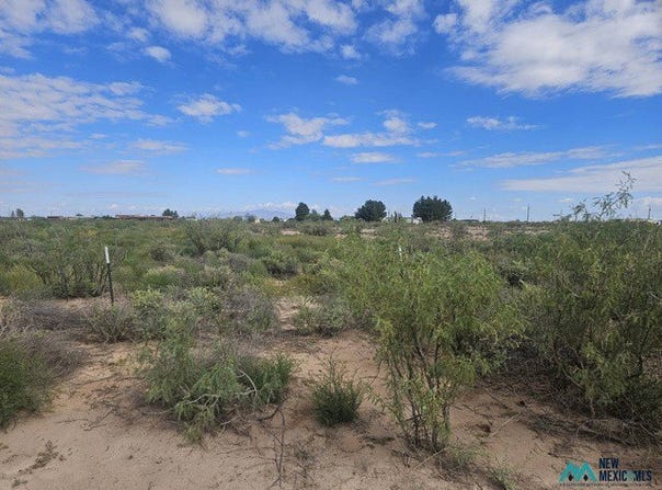 1234 S Luna Rd SE E, Deming, NM 88030
