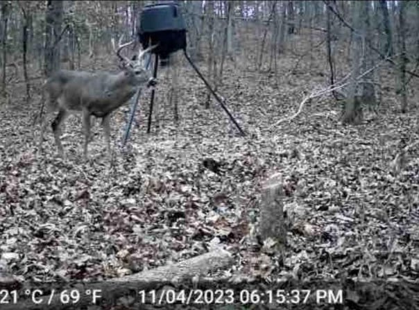 0 Hwy 60, Van Buren, MO 63965