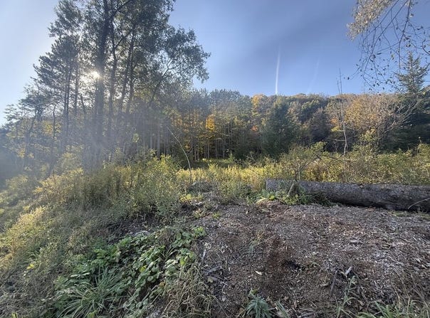 Loucks Road, Galeton, PA 16922