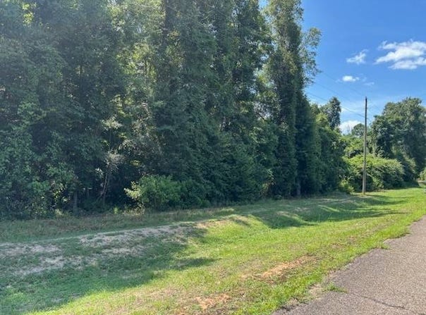 34408 Good Hope Rd, Dozier, AL 36028