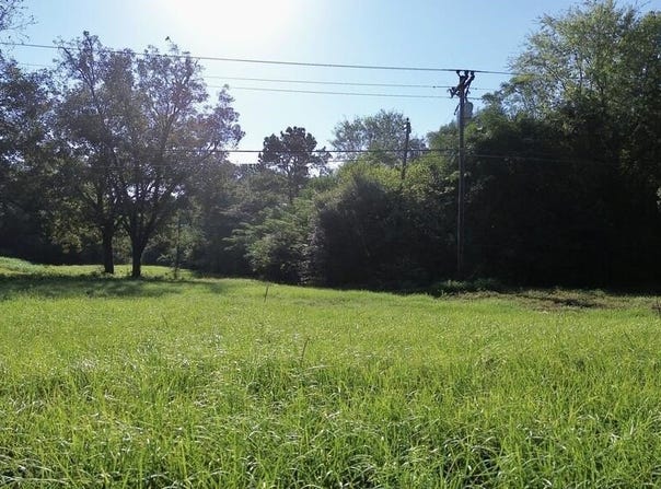 4600 Hwy 96 N, Jasper, TX 75951