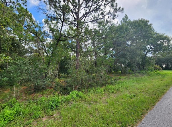 579 W OLYMPIA STREET, HERNANDO, FL 34442