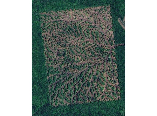 . Sharrett Road, Ellenburg, NY 12933