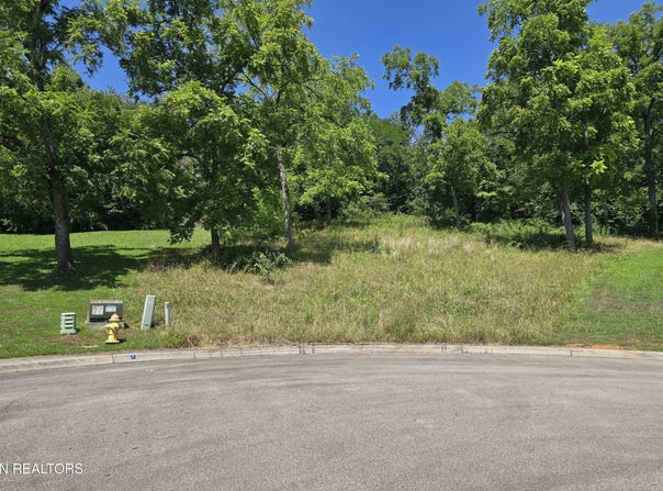 Morningside Lane, Dandridge, TN 37725