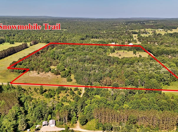 52 Acres Tannerville Road, Kaleva, MI 49645