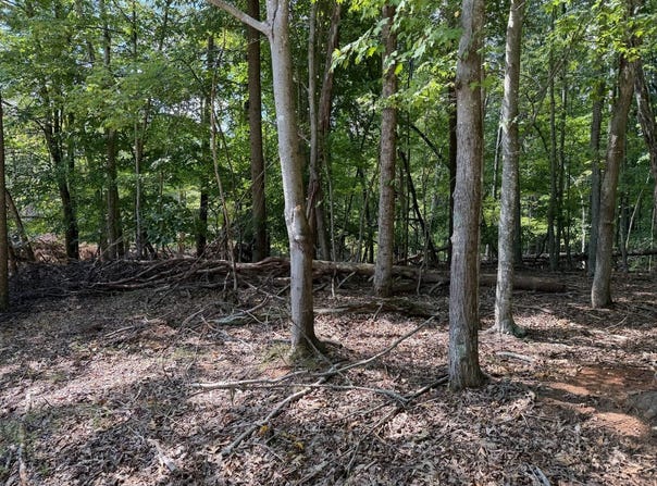 Tbd Chestnut Dr, Hardy, VA 24101