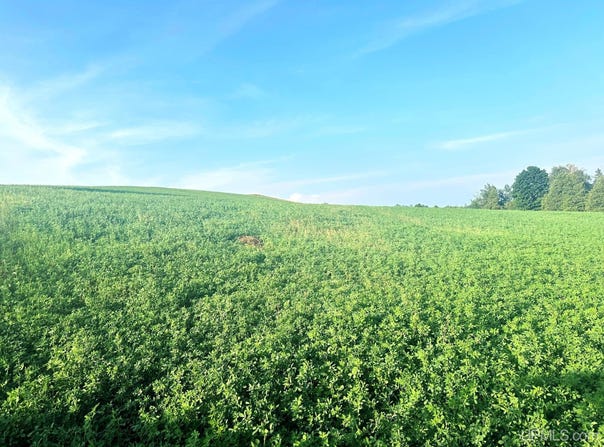 Co Rd 358, Daggett, MI 49821