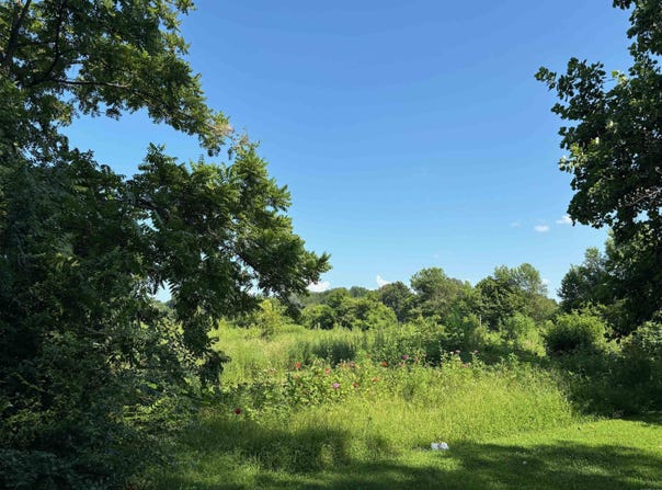 4.16 ac (+/-) 26-17-01E, Highway 67, Walnut Ridge, AR 72476