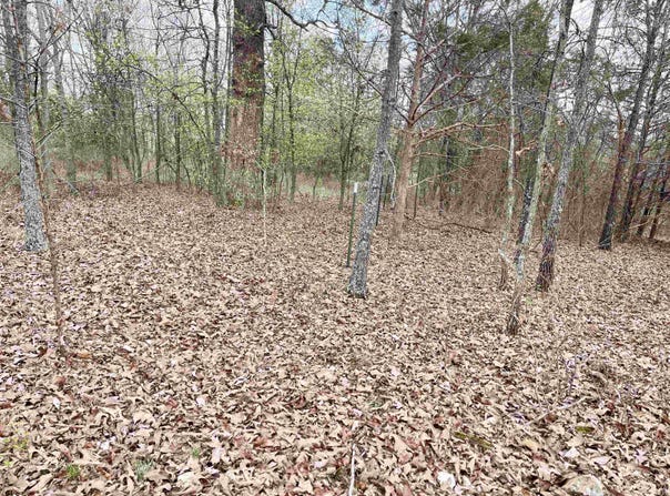 62/412 Highway, Viola, AR 72583