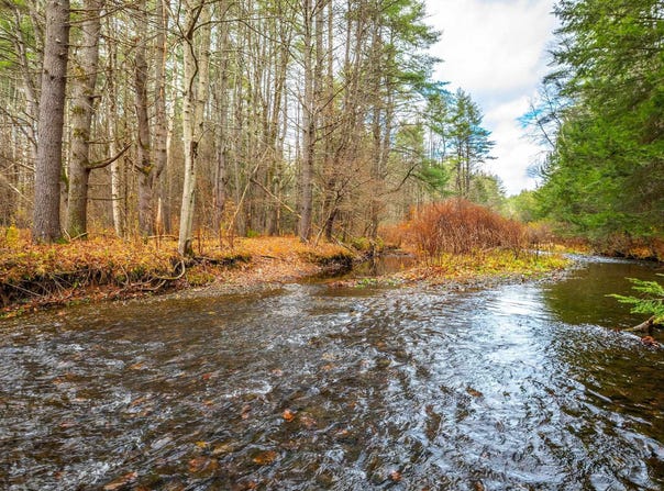 40 E Putney Brook Road, Putney, VT 05346