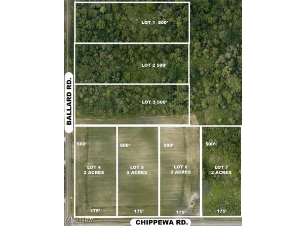 Ballash Road lot: #2, Chippewa Lake, OH 44215