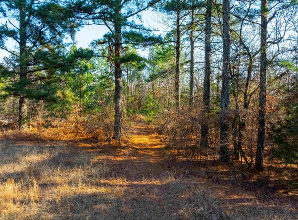 TBD Castle Drive, Batesville, AR 72501
