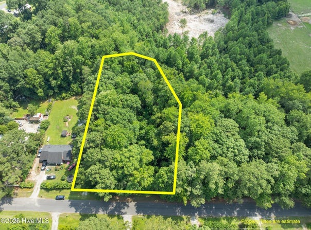 25 & 26 Sr 1184 Road, Chocowinity, NC 27817