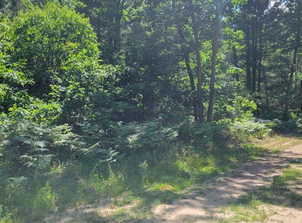 0 Chicago Avenue, Idlewild, MI 49642