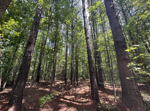 4 County Road 444, Philadelphia, MS 39350