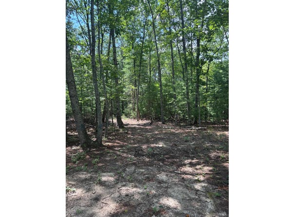 Cheatham Road, Monroe, VA 24574