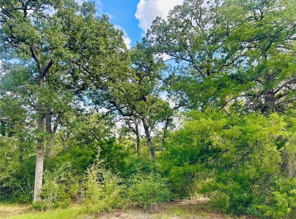 10559 Hampton Court, Iola, TX 77861