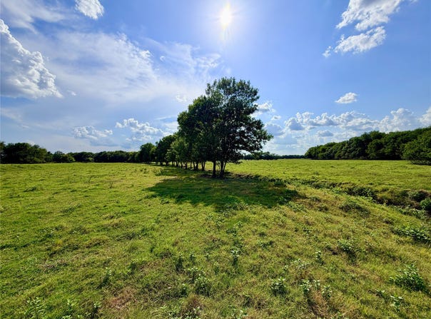 CR 2145, Cooper, TX 75432