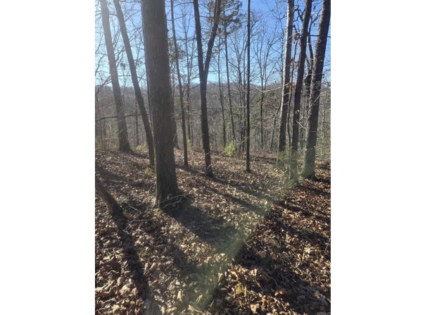 Ruddle Rd, Mountain View, AR 72560