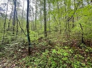 Lot 113 Bear Den Trl, Grandview, TN 37337