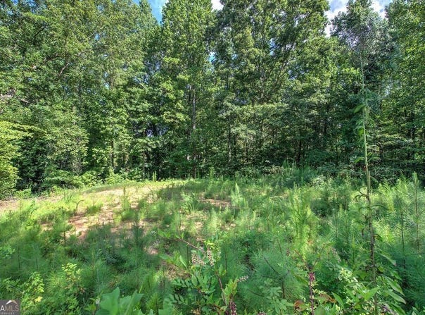 573 Dallas, Cartersville, GA 30120