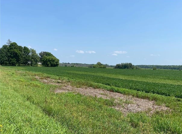 40525 Highway 65 NE, Stanchfield Twp, MN 55006