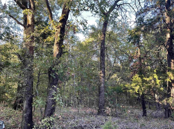 CR 4710, LaRue, TX 75770