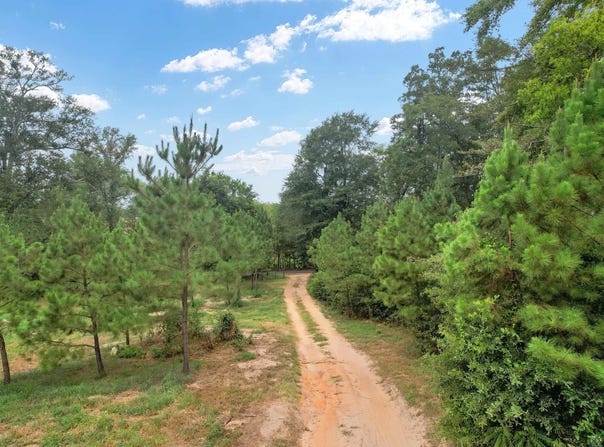 4557 Elderberry, Gilmer, TX 75644