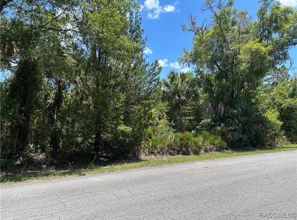 10257 N Coco Plumosa Drive, Crystal River, FL 34428