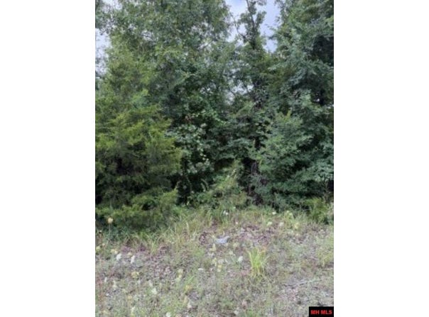CR 868 lot: 7, Henderson, AR 72544