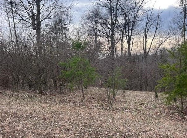 Lot 16 Chrystal Lane, Barboursville, WV 25504