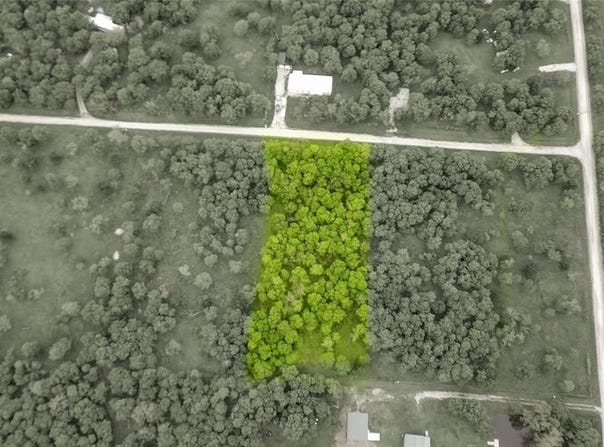 Tract 2 Tbd SW County Road 2397, Wortham, TX 76693