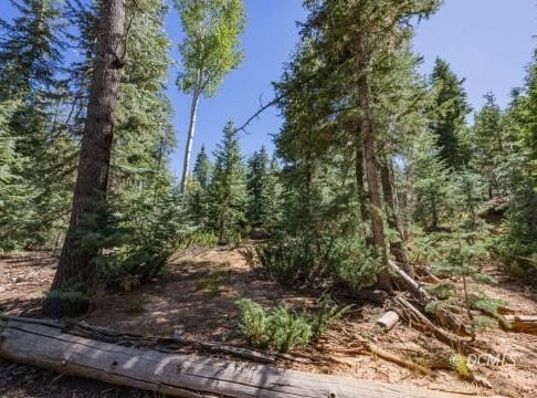 1075 E Winchester Rd, Duck Creek Village, UT 84762