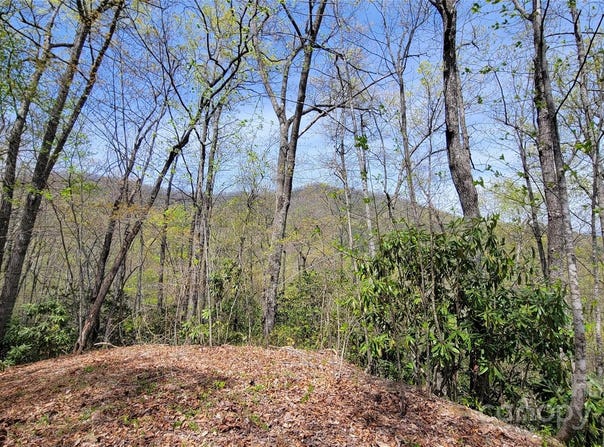 31 Lacy Fern Ridge, Sylva, NC 28779