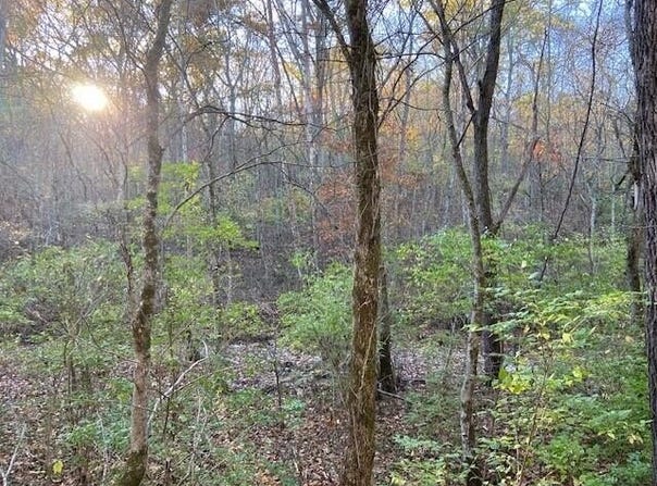 320 Old Carntown Rd., Foster, KY 41043