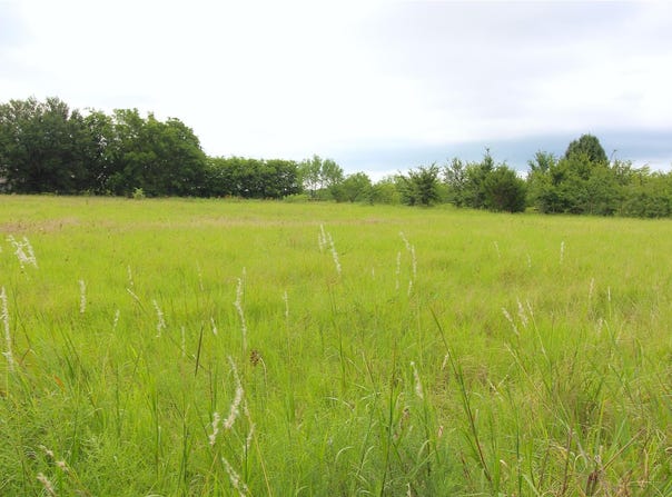 CR-4079, Scurry, TX 75158