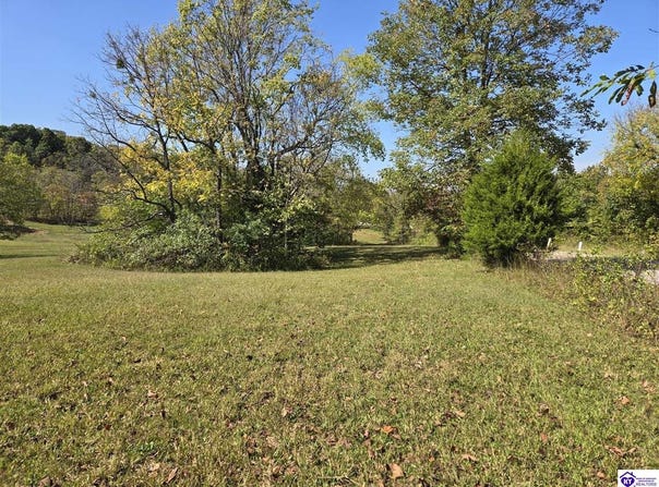 Lot 4 Guston Road, Guston, KY 40142