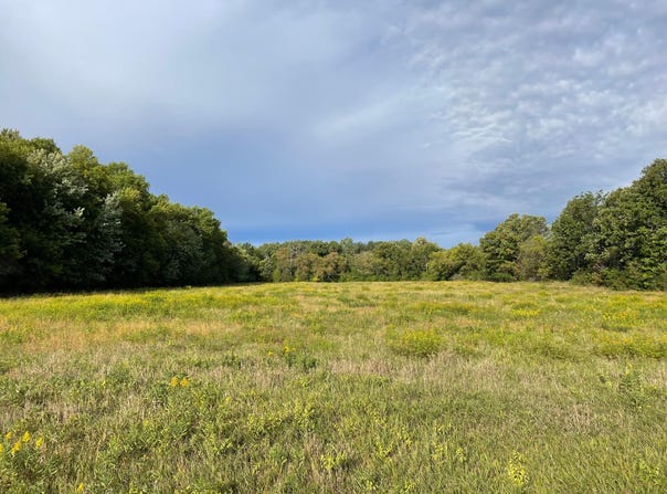 140th Avenue, Foreston, MN 56330