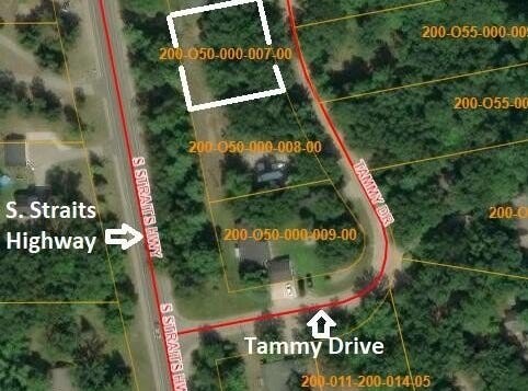 7402 Tammy Drive, Indian River, MI 49749