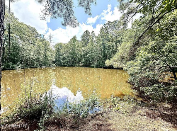 Old Jackson Road, Terry, MS 39170