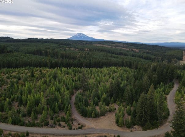 4 Conboy Heights, White Salmon, WA 98672