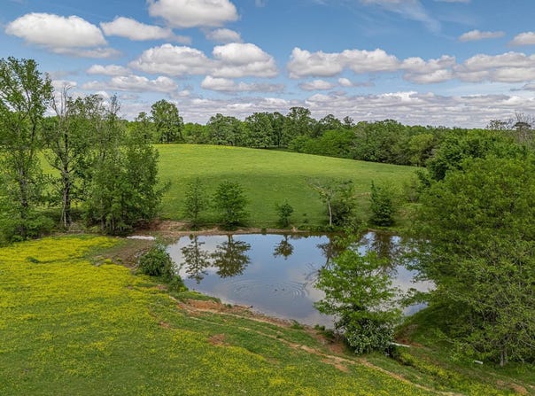 180 Acres +/-, Harrisburg, AR 72432