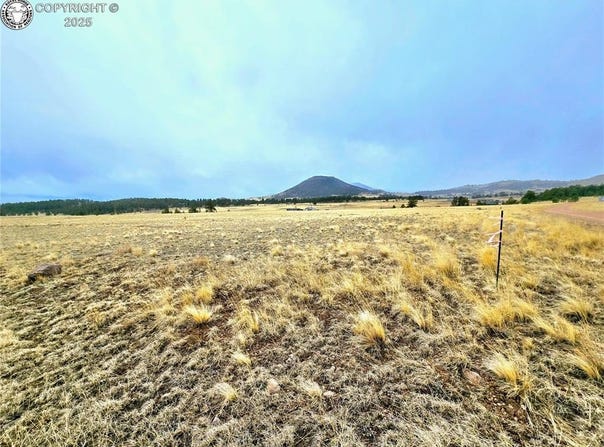 4795 County Road 71, Guffey, CO 80820