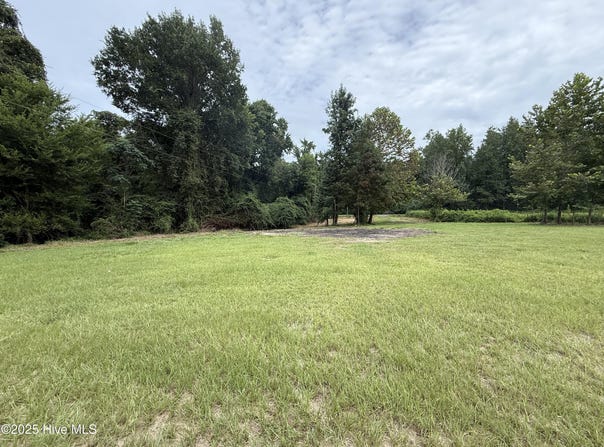 272 Charlie Teachey Road, Rose Hill, NC 28458