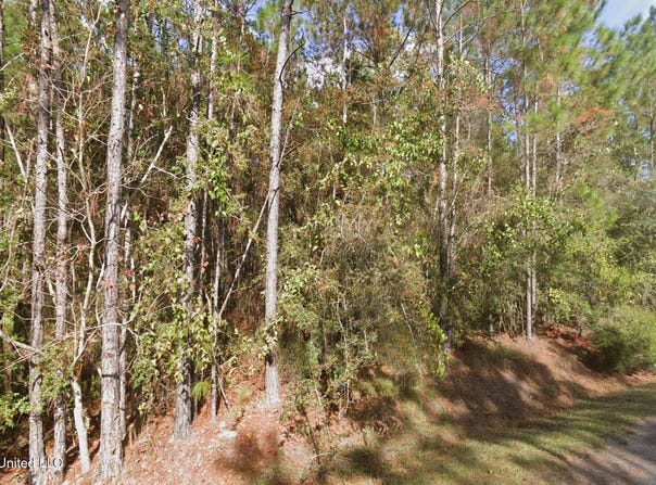 Cedar Drive, Bay Saint Louis, MS 39520