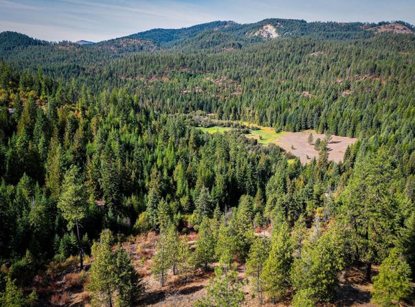 3401 RED MARBLE RD, CHEWELAH, WA 99109