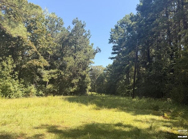336 CR 3992, Bloomburg, TX 75556