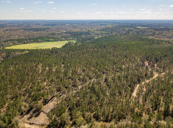 Timothy Rd lot: 7, Ellisville, MS 39437