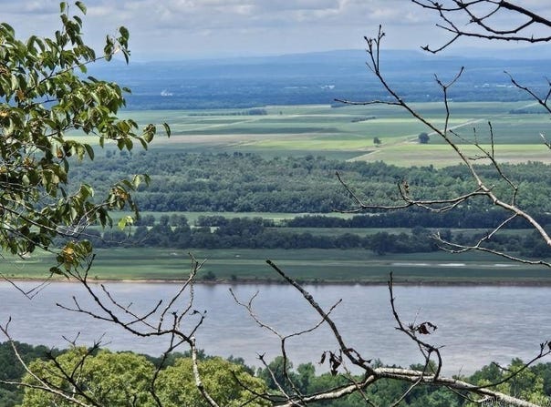 160 Acres America Road, Morrilton, AR 72110